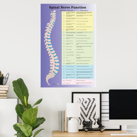 Spinale zenuwfunctie Poster Chiropractisch (Thuiskantoor)