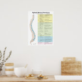 Spinale zenuwfunctie Poster Chiropractisch (Keuken)