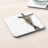 spinappen bier onderzetter (Linkerzijde)