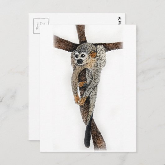 spinappen briefkaart (Voorkant / Achterkant)