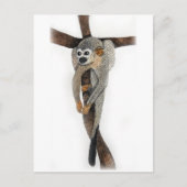 spinappen briefkaart (Voorkant)