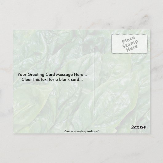 Spinazie Briefkaart (Achterkant)