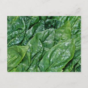 Spinazie Briefkaart