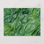 Spinazie Briefkaart (Voorkant)