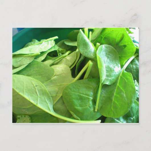 spinazie briefkaart (Voorkant)