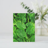 spinazie briefkaart (Staand voorkant)