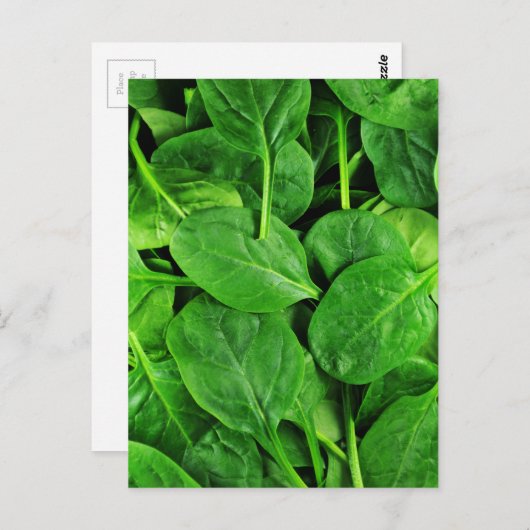 spinazie briefkaart (Voorkant / Achterkant)