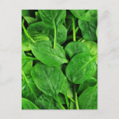 spinazie briefkaart (Voorkant)