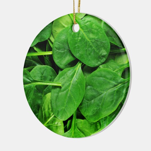 spinazie keramisch ornament (Links)