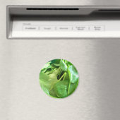 spinazie magneet (Insitu (Vaatwasser))