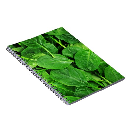 spinazie notitieboek (Rechterzijde)