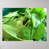 spinazie poster (Voorkant)