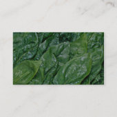 Spinazie Visitekaartje (Achterkant)