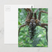 Spinbriefkaart Briefkaart (Voorkant / Achterkant)