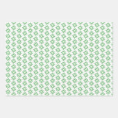 Spinchillas Inpakpapier Vel (Voorkant 2)