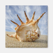 Spinconch op zandstrand magneet (Voorkant)