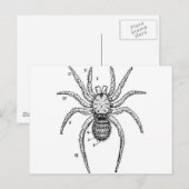  spindiagram briefkaart (Voorkant / Achterkant)