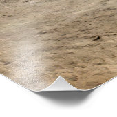 Spindletop Oil field - Texas 1902 Foto Afdruk (Hoek)