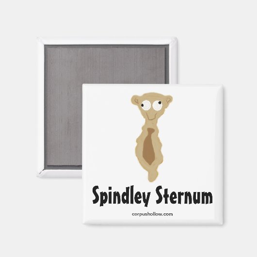 Spindley Sternum Magneet (Voorkant / Achterkant)