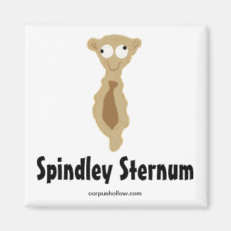 Spindley Sternum Magneet