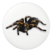 spindoptrek keramische knop (Voorkant)