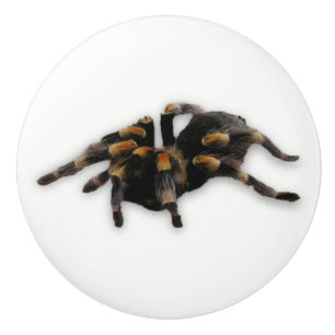 spindoptrek keramische knop