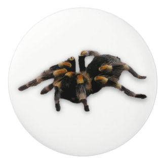 spindoptrek keramische knop