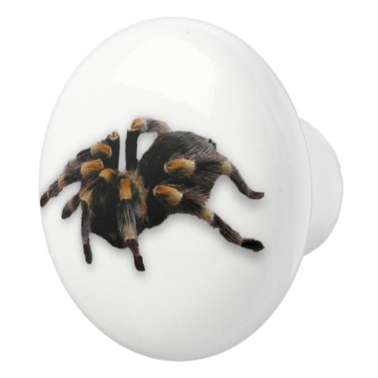 spindoptrek keramische knop (Rechts)