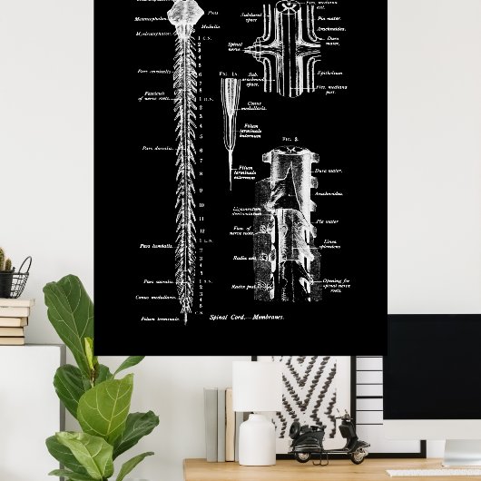 Spine Anatomie Medical Wall Decor Poster (Thuiskantoor)