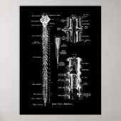 Spine Anatomie Medical Wall Decor Poster (Voorkant)