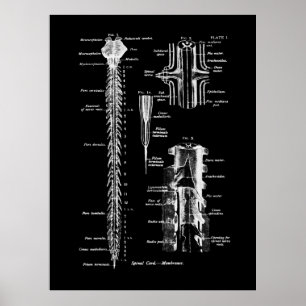 Spine Anatomie Medical Wall Decor Poster