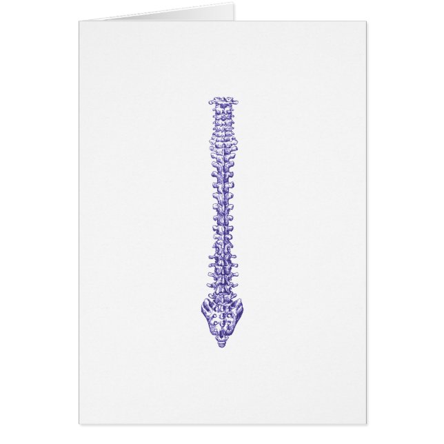 Spine Blue (Voorkant)