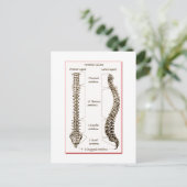 Spine Details Sepia2 Briefkaart (Staand voorkant)