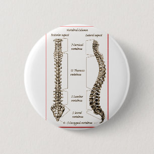 Spine Details Sepia2 Ronde Button 5,7 Cm
