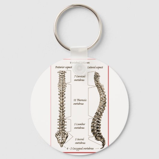 Spine Details Sepia2 Sleutelhanger (Voorkant)