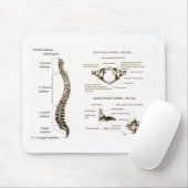 Spine Details Sepia Muismat (Met muis)