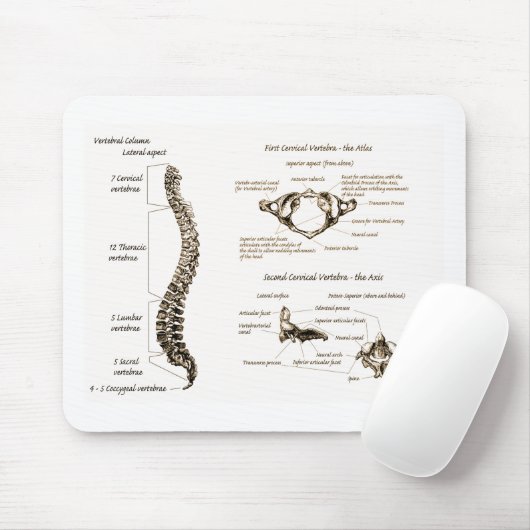 Spine Details Sepia Muismat (Met muis)