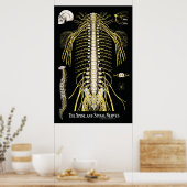 Spine- en ruggenmergzenuwstelsel poster (Keuken)