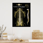 Spine- en ruggenmergzenuwstelsel poster (Keuken)