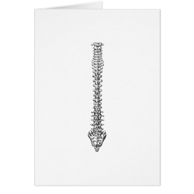 Spine Gray (Voorkant)