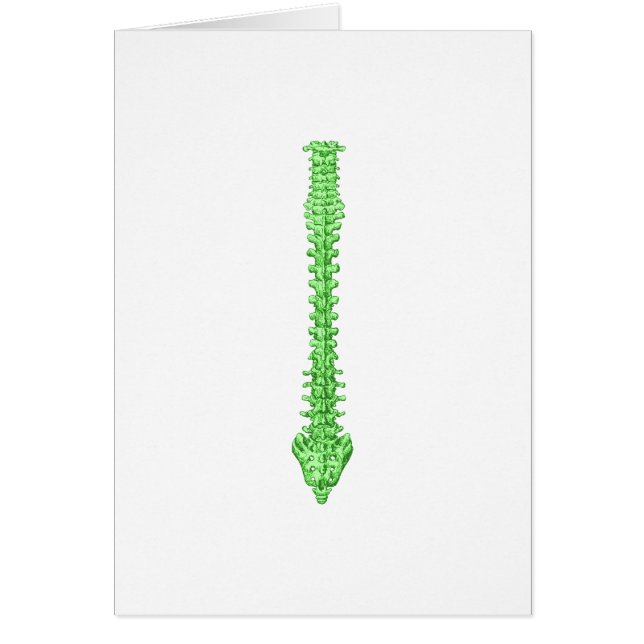 Spine Green (Voorkant)