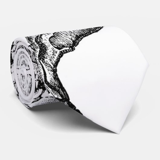 Spine - natuurkundig diagram van Steele Stropdas (Opgerold)