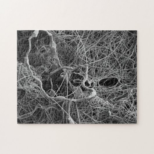 Spineierzak Legpuzzel (Horizontaal)