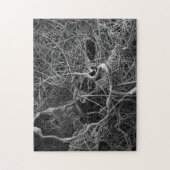 Spineierzak Legpuzzel (Verticaal)