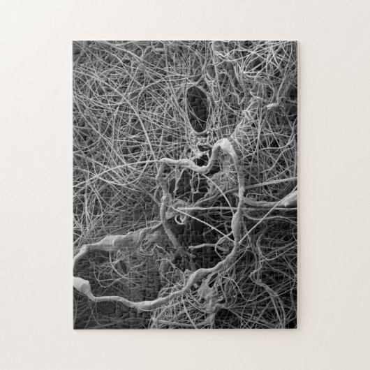 Spineierzak Legpuzzel (Verticaal)