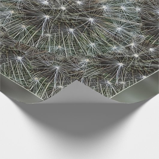 Spinende dandeliakoes cadeaupapier (Hoek)