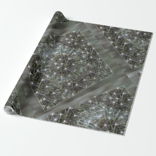 Spinende dandeliakoes cadeaupapier