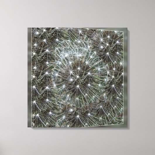 Spinende dandeliakoes canvas afdruk (Voorkant)