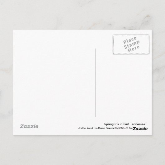 Sping Iris in East Tennessee Briefkaart (Achterkant)
