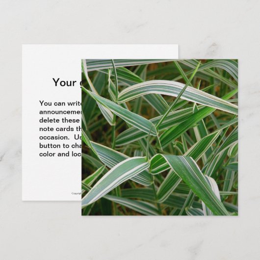 Spingras  groen en gestreept plant kaart (Voorkant / Achterkant)